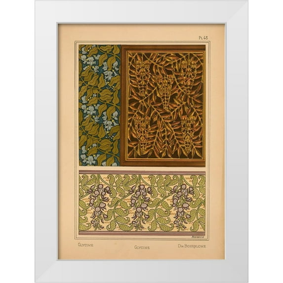 Vintage Apple Collection 24x32 White Modern Wood Framed Museum Art Print Titled -  Plate 48 - Glycine