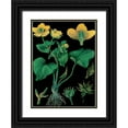 thumbnail image 1 of Vintage Apple Collection 25x32 Black Ornate Wood Framed with Double Matting Museum Art Print Titled - Marsh Marigold, 1 of 4
