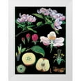 thumbnail image 1 of Vintage Apple Collection 25x32 White Modern Wood Framed Museum Art Print Titled - Apple Tree, 1 of 4