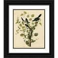 thumbnail image 1 of Vintage Apple Collection 26x31 Black Ornate Wood Framed with Double Matting Museum Art Print Titled - Loggerhead Shrike, 1 of 4