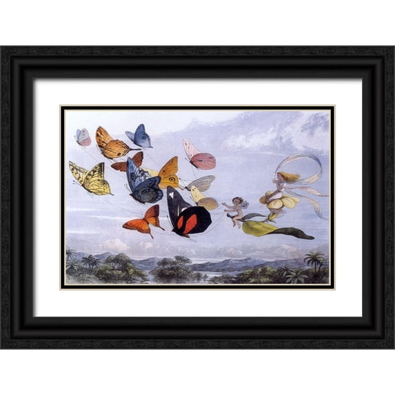 Vintage Apple Collection 32x22 Black Ornate Wood Framed with Double Matting Museum Art Print Titled - Fairy Butterflies 1