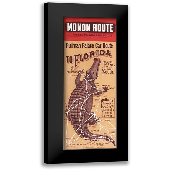 Vintage Apple Collection 8x14 Black Modern Framed Museum Art Print Titled - Florida Croc