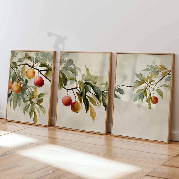 Vintage Apple Tree Fruit Botanical Rustic Kitchen Wall Art Print Set 3 Unframed Paper Print 8x12