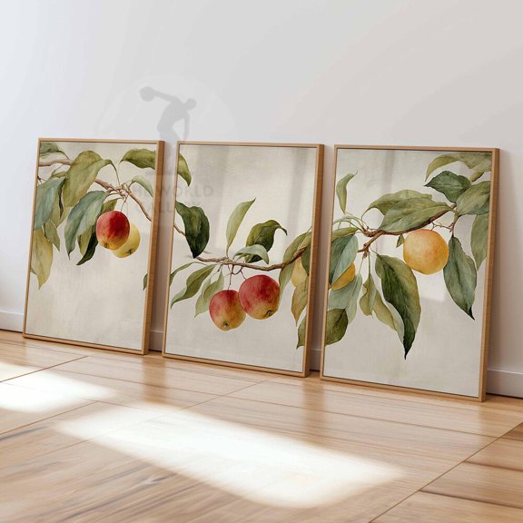 Vintage Apple Tree Fruit Rustic Botanical Kitchen Wall Art Print Set 3 Unframed Paper Print 8x12