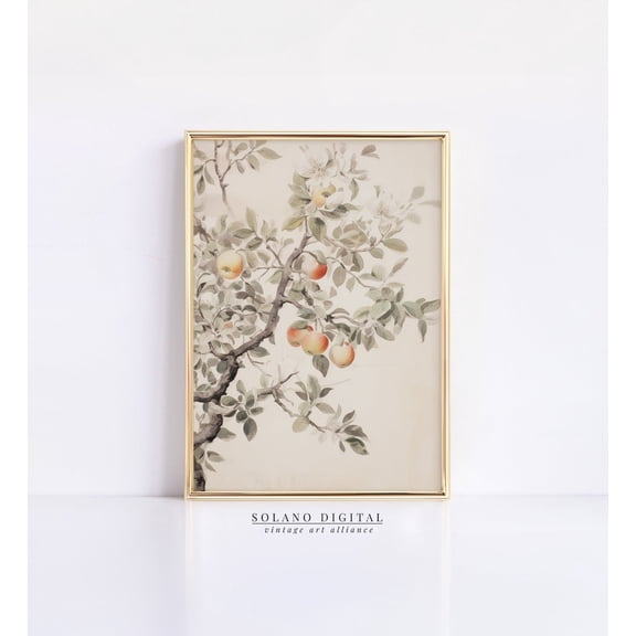 Vintage Apple Tree Print, Neutral Farmhouse Wall Art, Country Sketch, 47 Wall Art, Modern Wall Decor, 24x36 UNFRAMED
