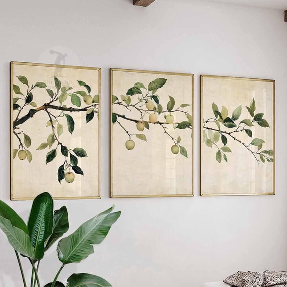 Vintage Apple Tree Prints Botanical Farmhouse Decor Home Decor Office Wall Art Set 3