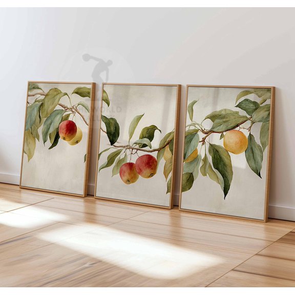 Vintage Apple Tree Prints Set Rustic Farmhouse Botanical Art Set 3
