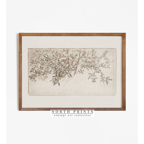 Vintage Apple Tree Rustic Botanical Poster, Unframed Size 16x24