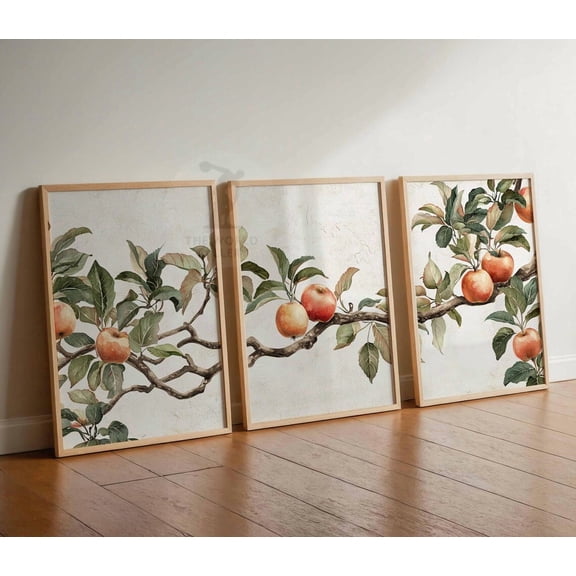 Vintage Apple Tree Rustic Farmhouse Kitchen Wall Art Set 3 Stretched Canvas 12x18