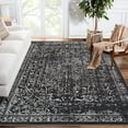 thumbnail image 1 of Vintage Area Rug 4x6 Stain Resistant Carpet Non Shedding Non-Slip Soft Rug Dining or Home Low Pile Farmhouse Oriental Indoor Floor Carpet Black, 1 of 7