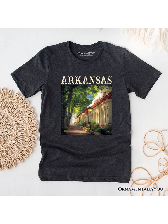 Vintage Arkansas State Hot Springs T-Shirt, Bathhouse Row Tee and Scenic Landmark Keepsake Souvenir
