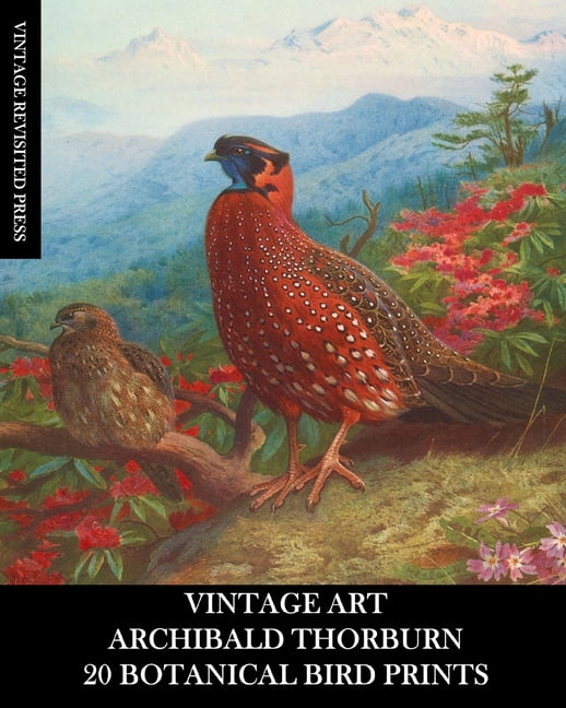 Vintage Art: Archibald Thorburn: 20 Botanical Bird Prints
