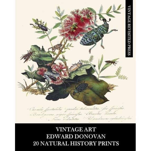 Vintage Art: Edward Donovan: 20 Natural History Prints: Entomology Ephemera for Home Decor, Collages and Scrapbooks, (Paperback)