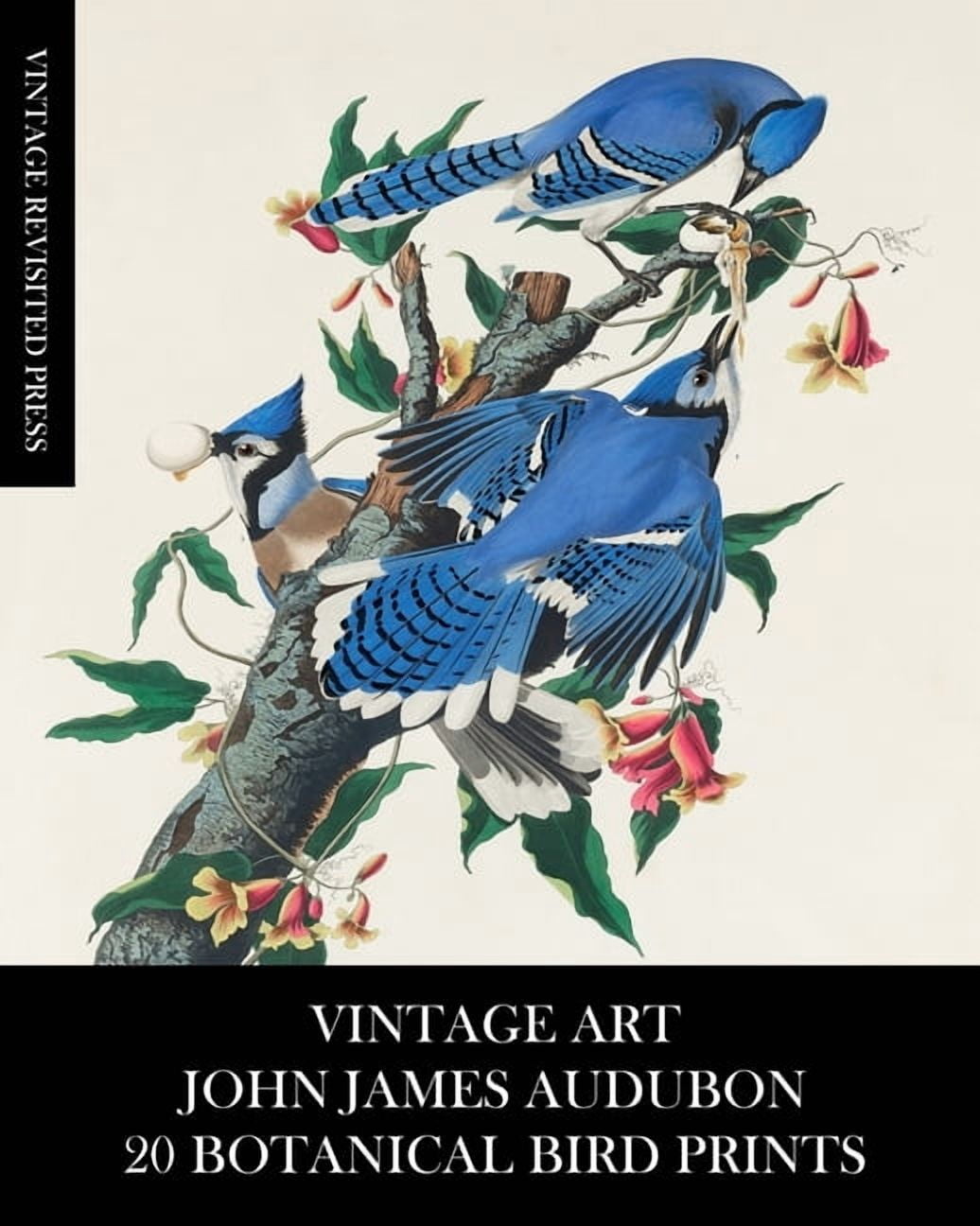 Vintage-Art-John-James-Audubon