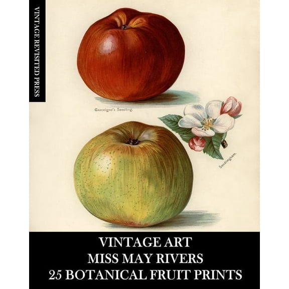 Vintage Art: Miss May Rivers: 25 Botanical Fruit Prints: Ephemera for Framing, Collage, Decoupage and Junk Journals, (Paperback)