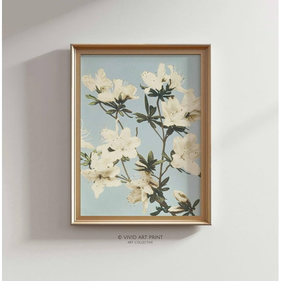 Vintage Azalea Blooms Botanical Illustration Wall Art, Floral Cottage Core Decor, Vivid Art Print Pl-415 Wall Art, Modern Wall Decor, 12x18 UNFRAMED