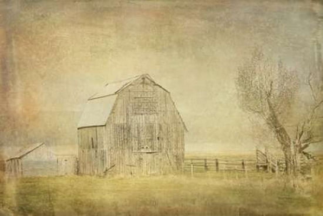 Vintage Barn Canvas Art - Ramona Murdock (12 x 18)