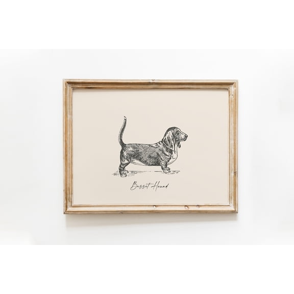 Vintage Basset Hound Farmhouse Dog Drawing Wall Decor, Unframed Paper Poster 8x10in