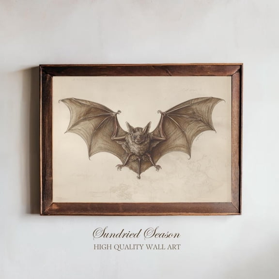 Vintage Bat Illustration Natural History Style Antique Gothic Home Gallery, Unframed Canvas 16x20in