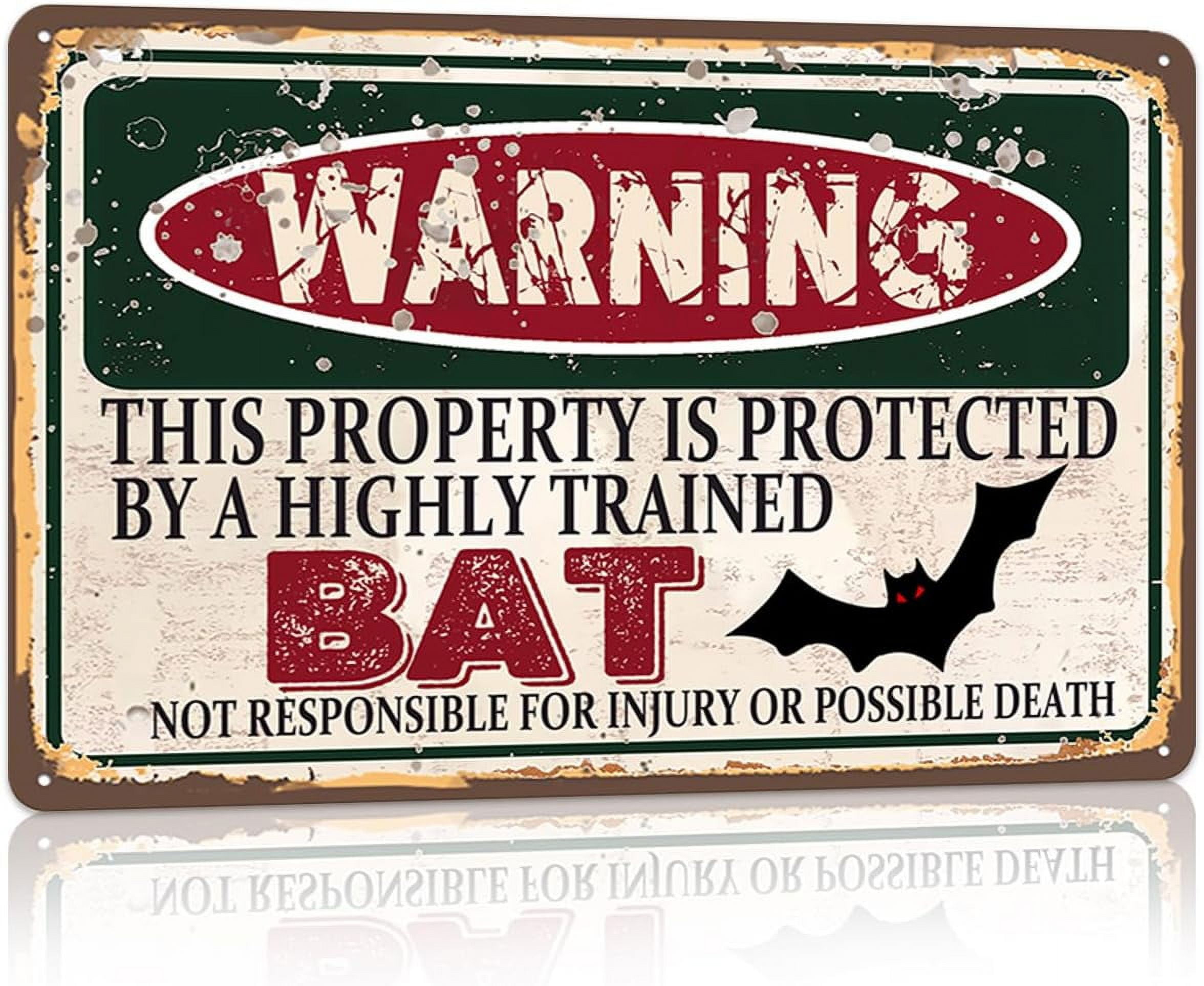 Vintage-Warnschild „This Property Is Protected By A Highly Trained Squirrel“ – 30,5x20,3 Cm, Metall, Für Garten & Haus