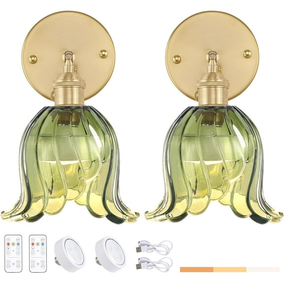Vintage Battery Operated Wall Sconces Set of Two, Rechargeable Battery Powered Wall Sconces with Remote Control, Wireless Dimmable LED Light for Bedside Bathroom Living Room (Green Lily)