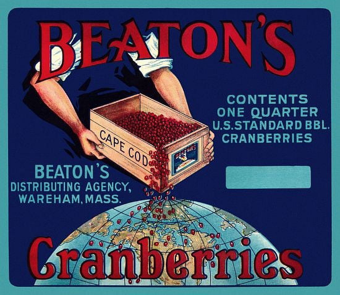 Vintage Beatons Cranberries Canvas Art - (18 x 24)
