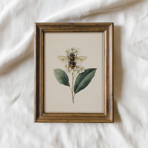 Vintage Bee Botanical Illustration Wall Decor Antique Entomology Bumblebee Cottagecore Nature Decor Home
