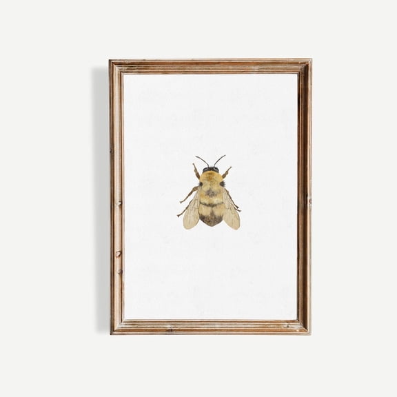 Vintage Bee Wall Art Print Minimal Bumblebee Artwork Neutral Cottagecore, Unframed Poster