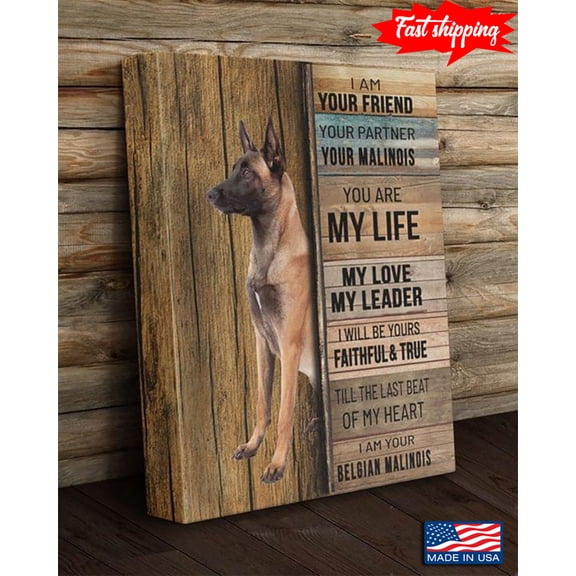 Vintage Belgian Malinois I Am Your Friend Your Partner Your Malinois You Are My Life My Love My Leader 11 x 17 Inch Poster