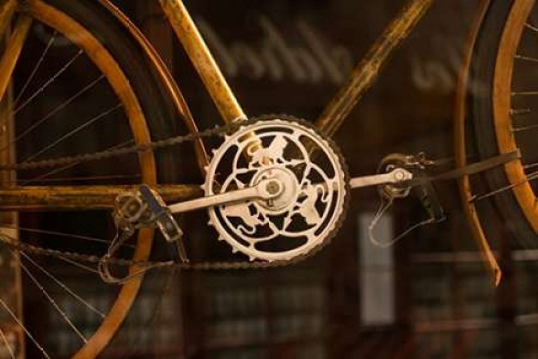 Vintage Bicycle Canvas Art - Erin Berzel (24 x 36)