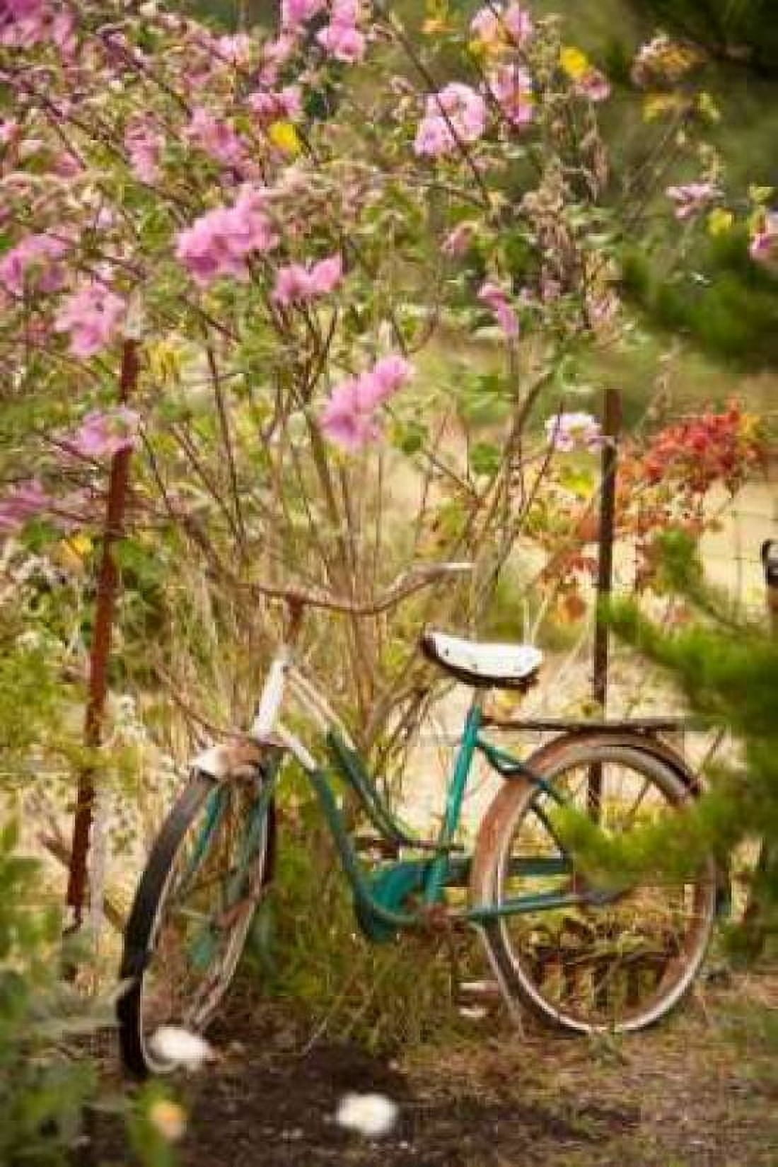 Vintage Bicycle IV Canvas Art - Philip Clayton-Thompson (24 x 36)