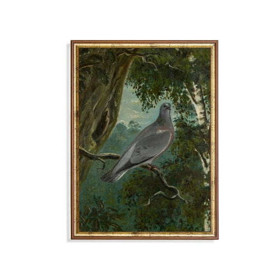 Vintage Bird, Antique Fine Art Poster Home Decor, 8x12 UNFRAMED