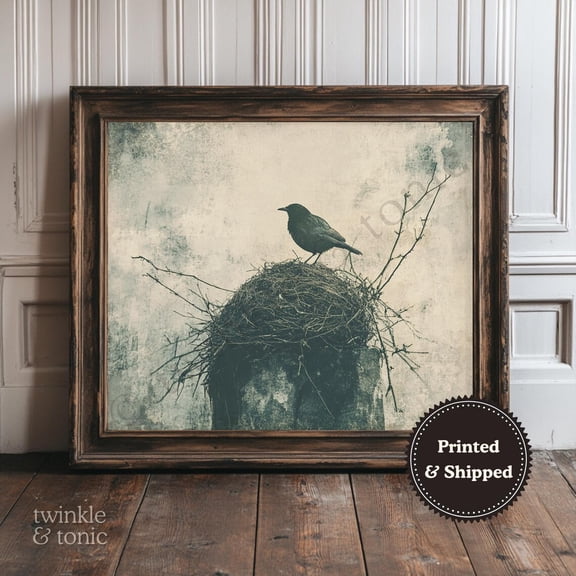Vintage Bird Crow Farmhouse Nature Decor Wall Art