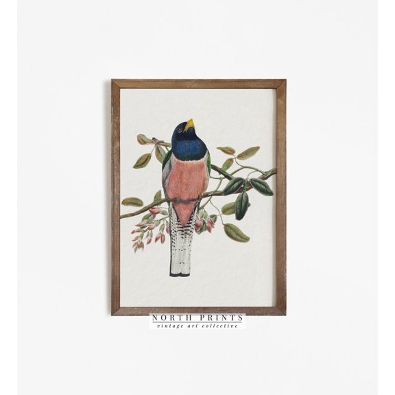 Vintage Bird Girls Country Farmhouse Modern Decorative Design Statement Accent Interior Wall Art