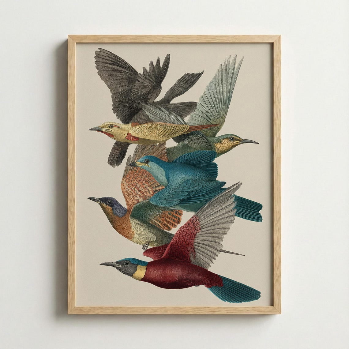Vintage Bird Illustration Wall Art Natural History Home Decor