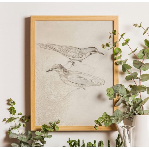 Vintage Bird Poster, Antique Charcoal Bird Sketch Artwork, Unframed Canvas Size 8x12
