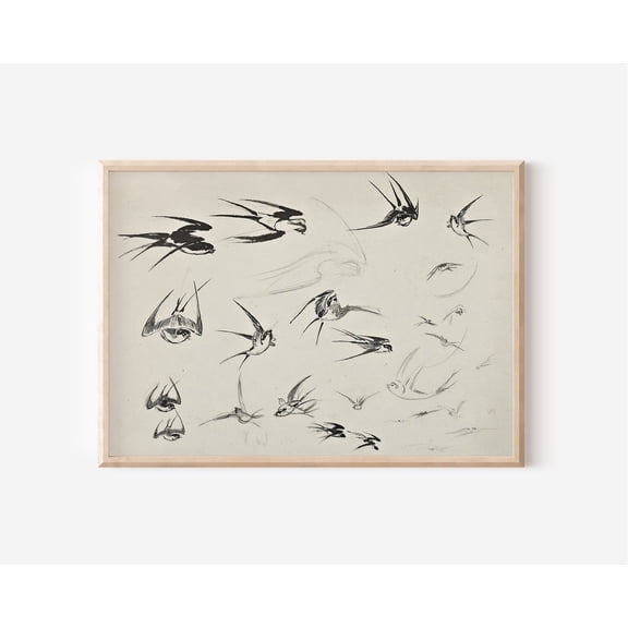 Vintage Bird Sketch Art Farmhouse Nursery Decor Unframed Paper Print
