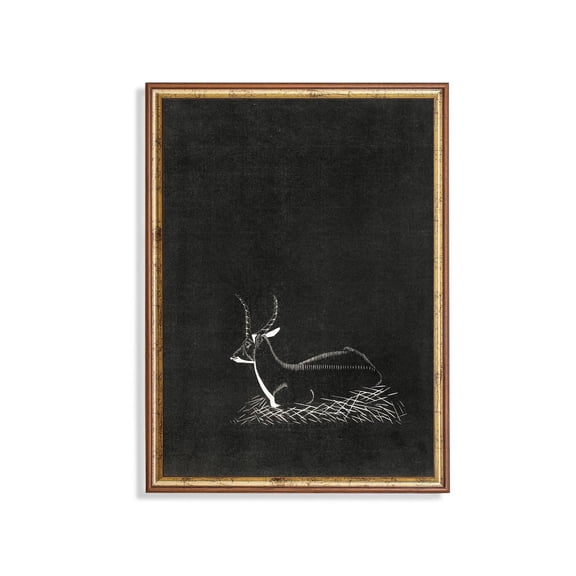 Vintage Blackbuck Antelope Woodcut Poster Rustic Wildlife Art Unframed Paper Print