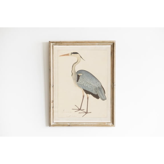 Vintage Blue Heron Print Grandmillennial Print Nantucket Print Bird Wall Art Coastal Granddaughter Beach House Decor
