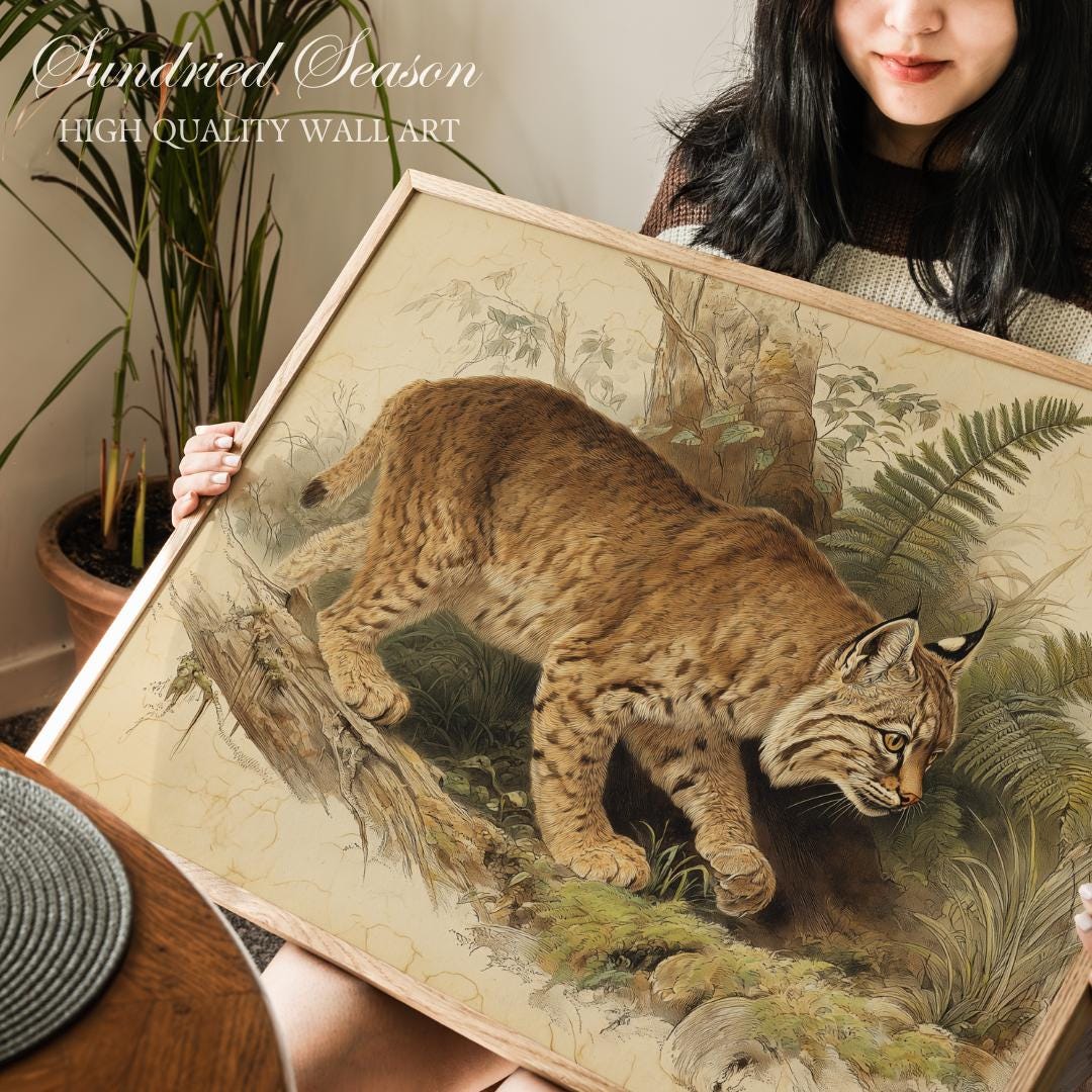 Rustic Bobcat Vintage Bobcat Wildlife Art Print, Natural History Forest Illustration ...