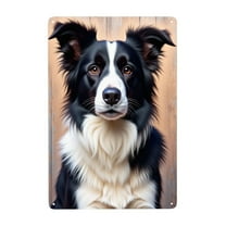Vintage Border Collie Metal Tin Sign Dog Wall Decor Pet Art Farmhouse Decor Metal Sign 8x12 Inch