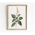 thumbnail image 1 of Vintage Botanical Botanical Farmhouse Wall Art Poster White Floral Botanical Minimalistic Wall Decor Poster Kitchen Wall Art Poster Art E495, Unframed Poster Size 8x12 F03.1.18l720, 1 of 4