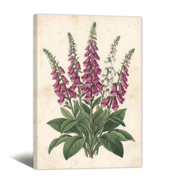 Vintage Botanical Canvas Wall Art Antique Purple Foxglove Picture Prints, Rustic Retro Flower Artwork Paintings for Living Room Bedroom Bathroom Home Decor