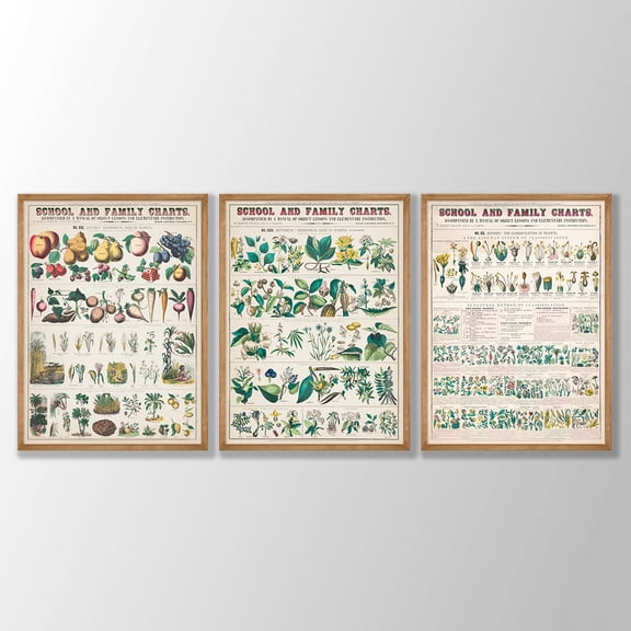 Vintage Botanical Chart Posters Vegetable Wall Art Set, Stretched Canvas