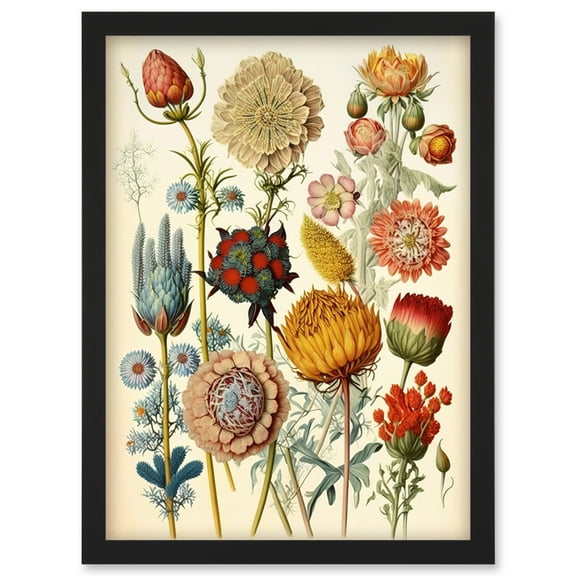 Vintage Botanical Ernst Haeckel Inspired Plant Study Modern Watercolour Painting Illustration Artwork Framed Wall Art Print A4
