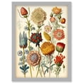 thumbnail image 1 of Vintage Botanical Ernst Haeckel Inspired Plant Study Modern Watercolour Painting Illustration Artwork Framed Wall Art Print A4, 1 of 4