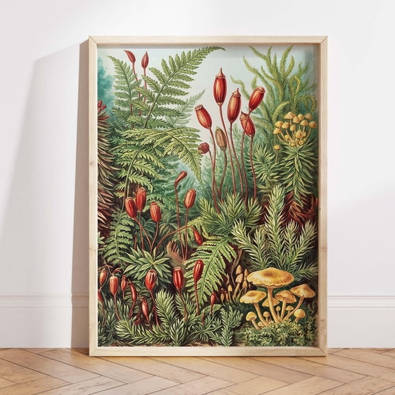 Vintage Botanical Fern Mushroom Print Forest Floor Nature Wall Art