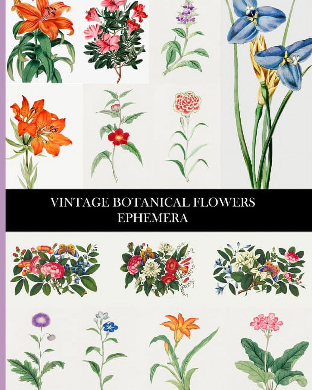 Classic Botanical Paperback Journal Classic Botanical Paperback Journal