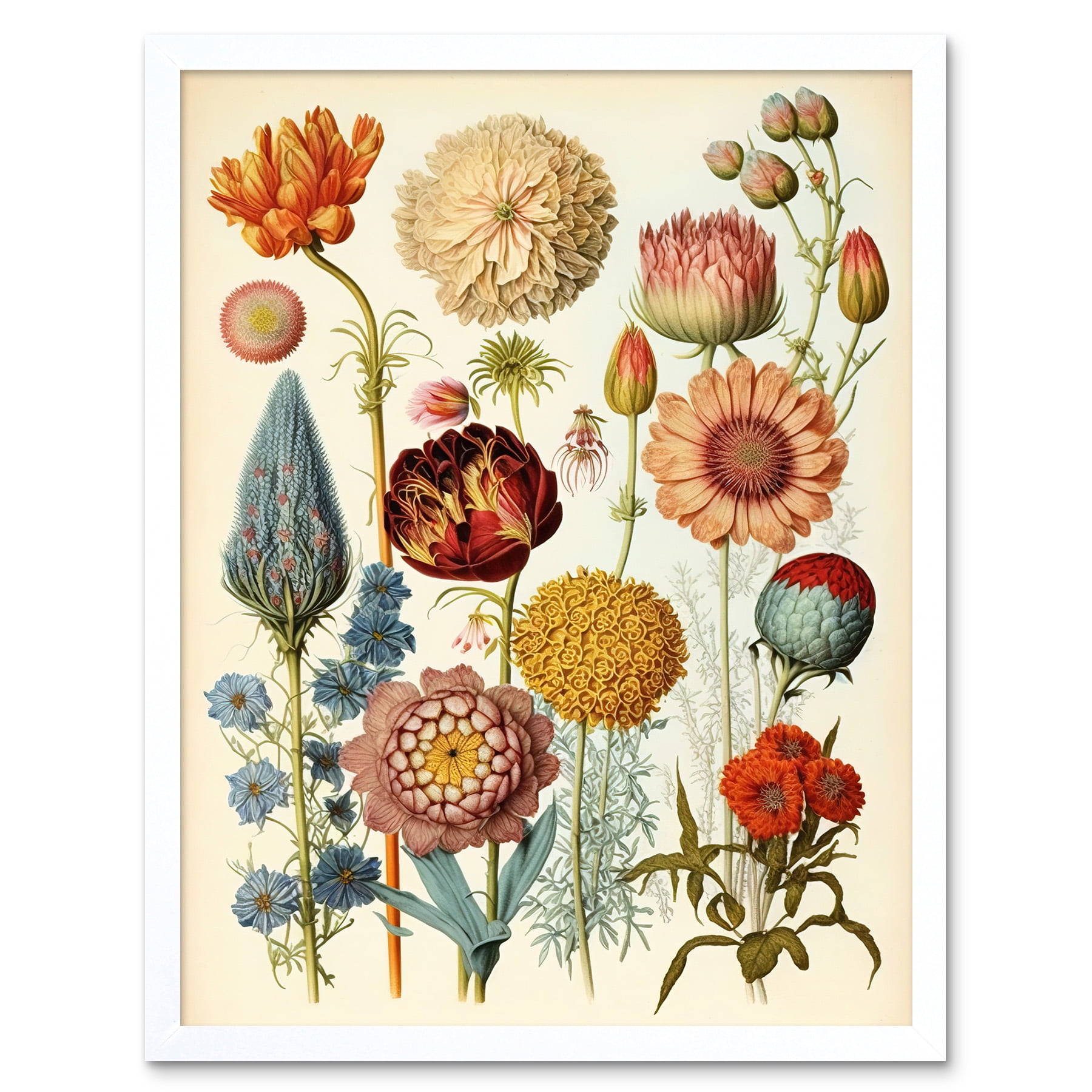 Vintage Botanical Illustration Ernst Haeckel Style Plant Study