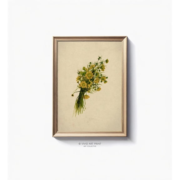 Vintage Botanical Illustration Wall Art "California Buttercups" Home Decor, Vivid Art Print Cb-317 Wall Art, Modern Wall Decor, 16x24 UNFRAMED